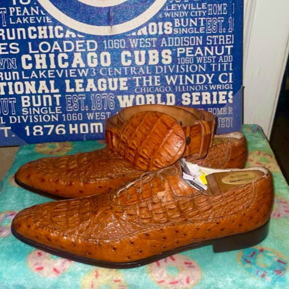 Fennix Alligator Ostrich Caramel shoes SZ11 and Hornback Alligator Belt SZ42 main image 6